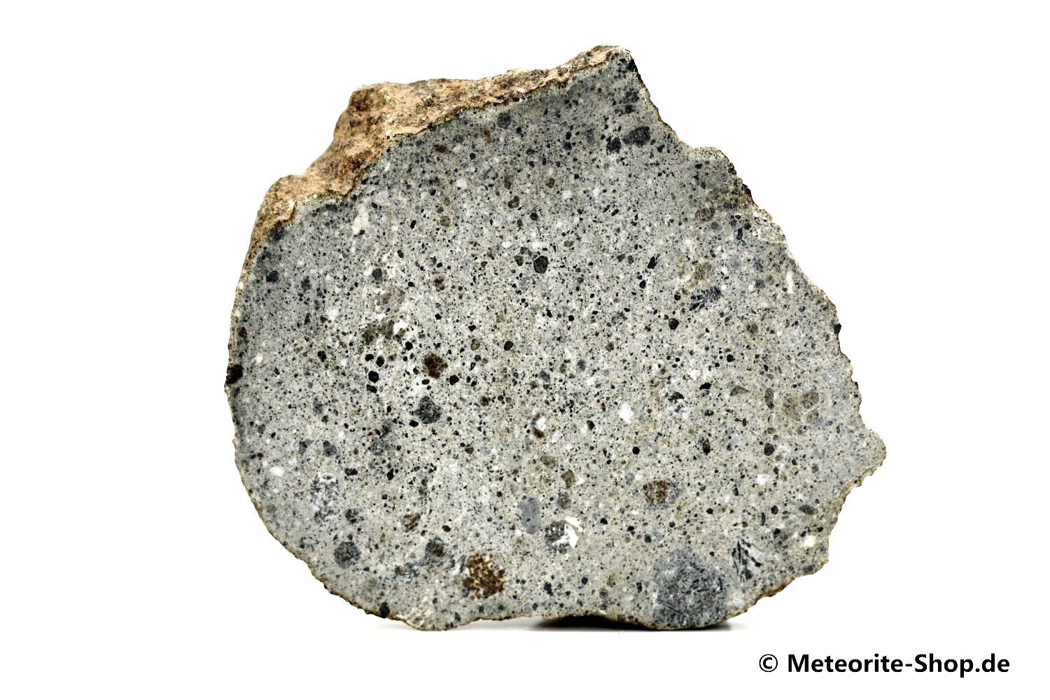 Zagora 011 Meteorit - 16,90 g