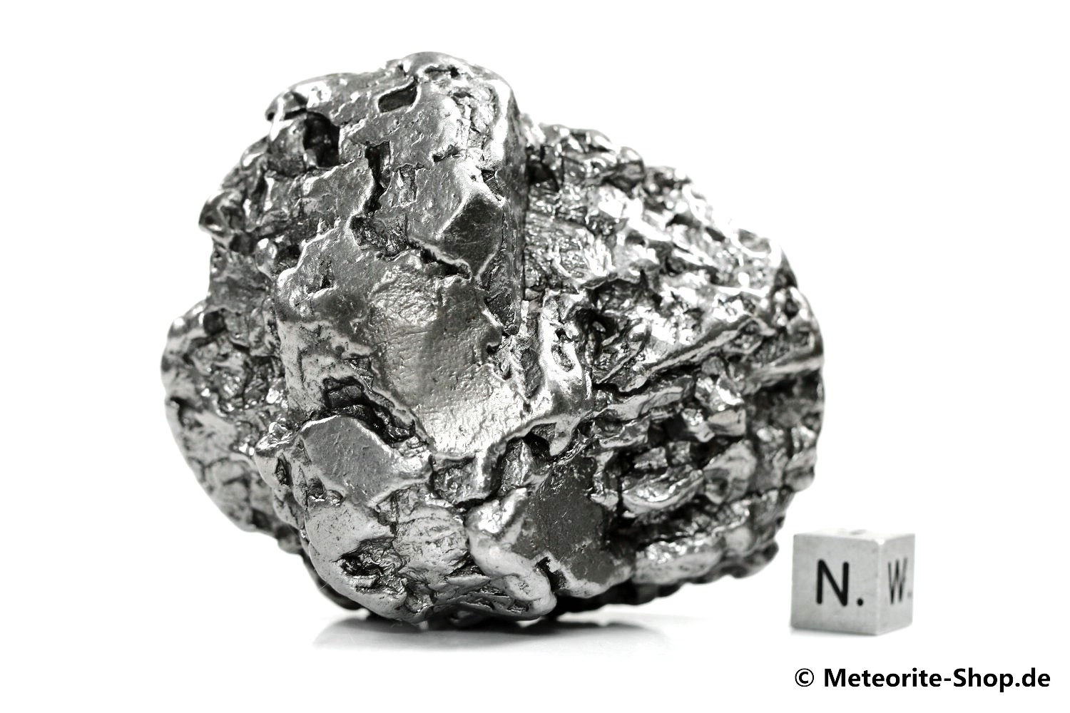 Campo del Cielo Meteorit - 508,70 g