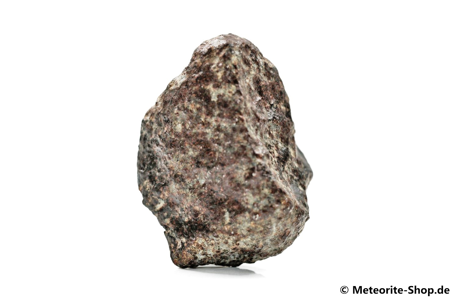NWA Marokko Meteorit - 35,80 g