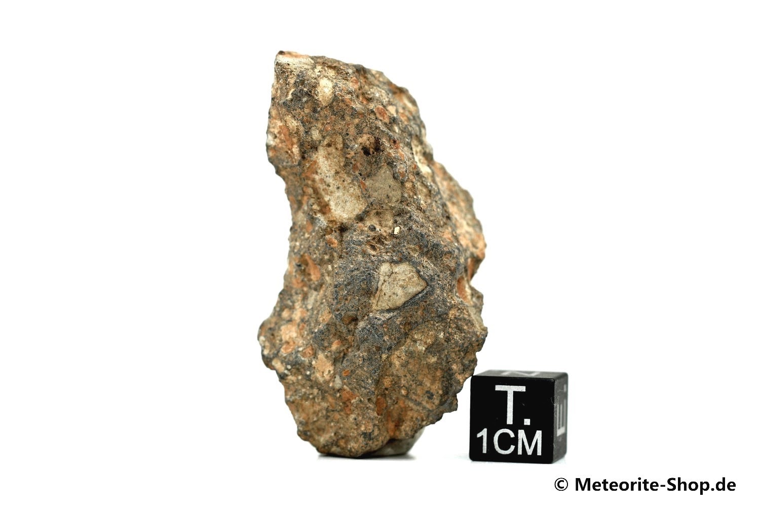NWA 11407 Mond Meteorit - 25,25 g