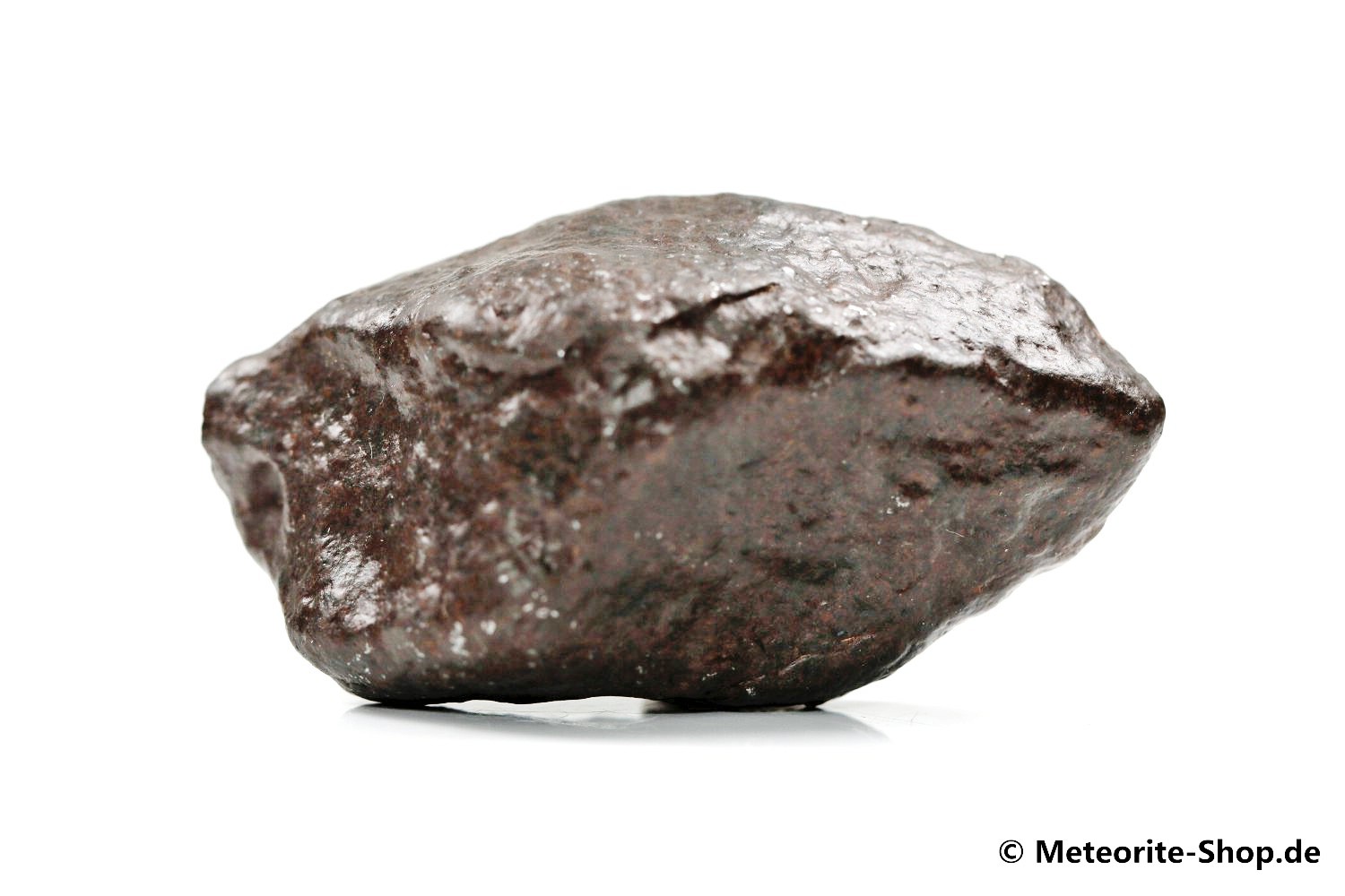 NWA Zagora Meteorit - 40,60 g