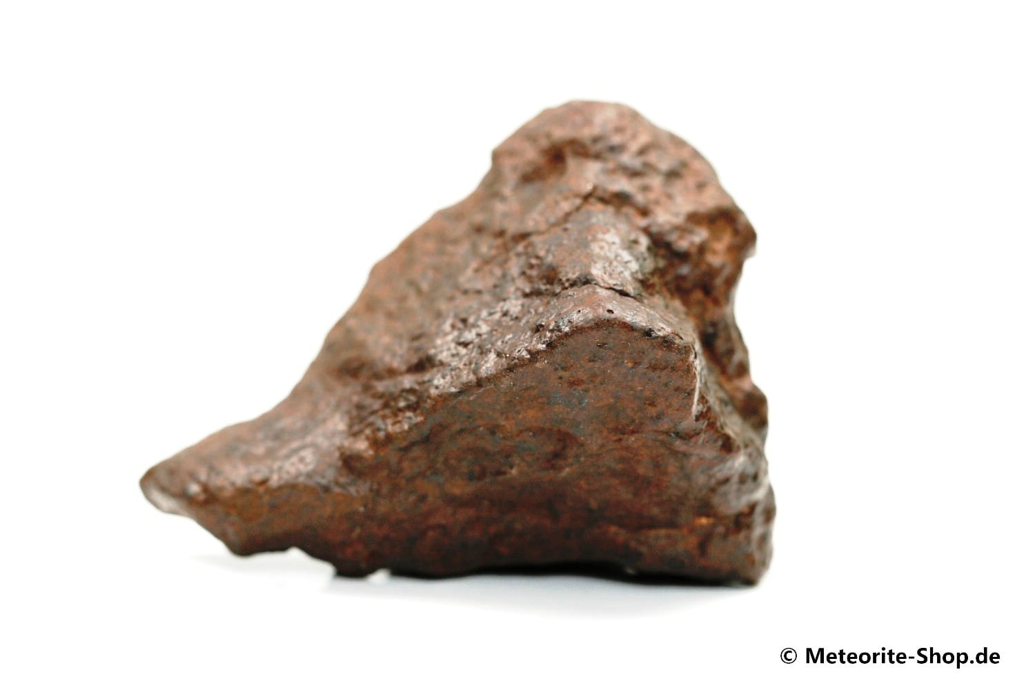 NWA Westsahara Meteorit - 60,00 g