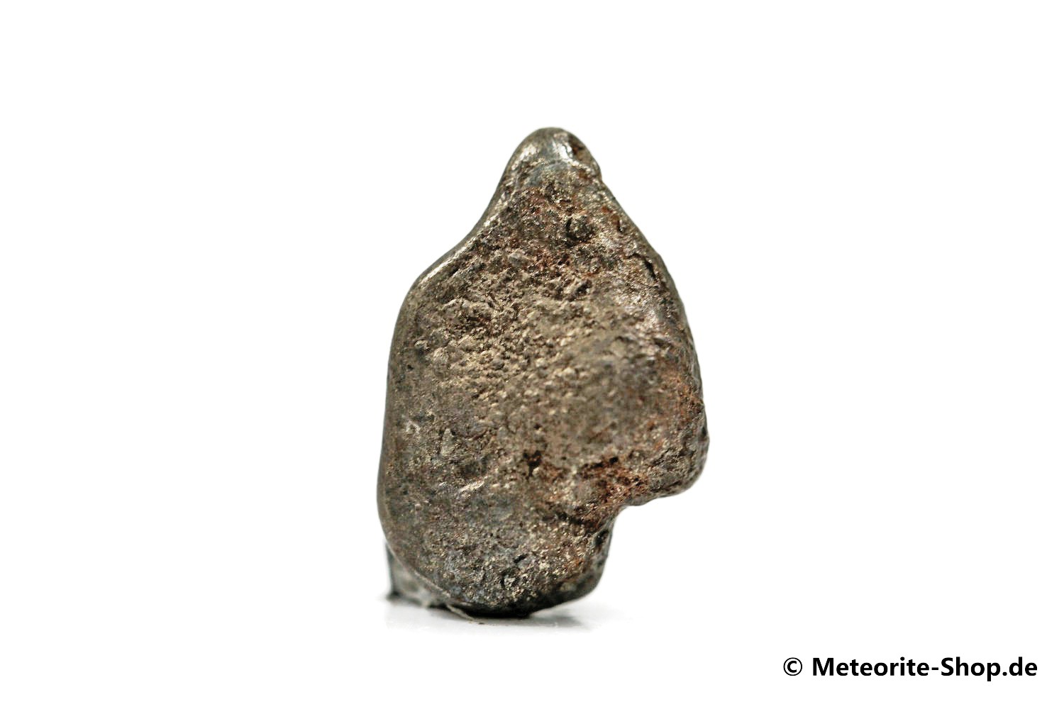 Golden Pallasite Meteorit (gepairt mit NWA 7788) - 1,35 g