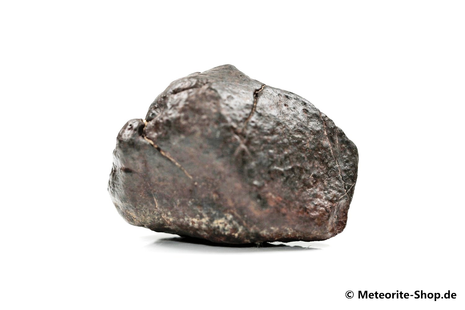 NWA Smara Meteorit - 33,70 g
