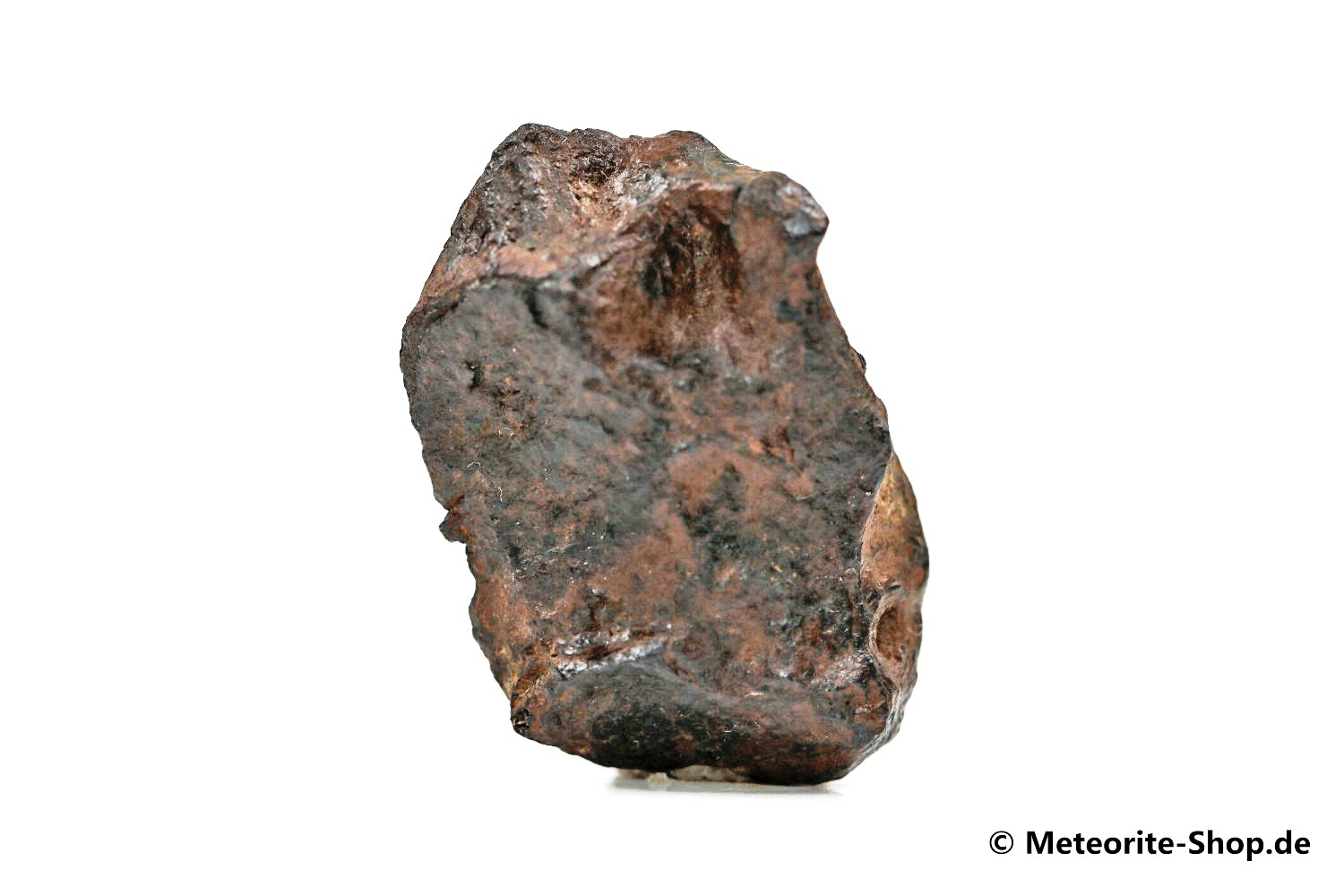 NWA 859 Meteorit - 7,40 g