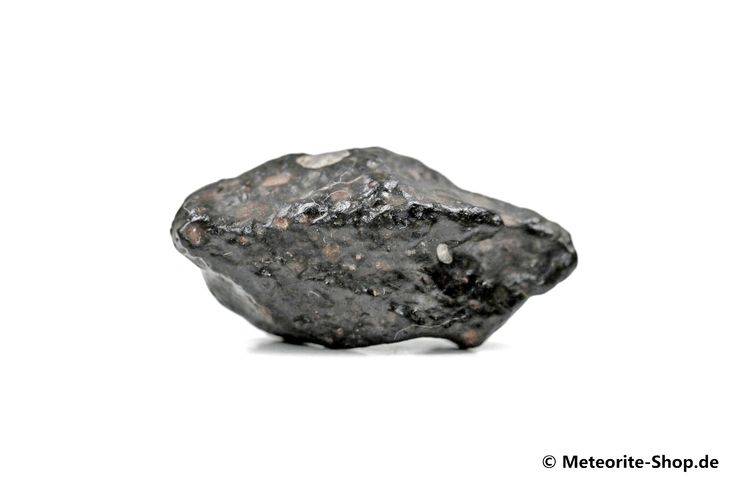 El Milhas 006 Meteorit - 6,60 g