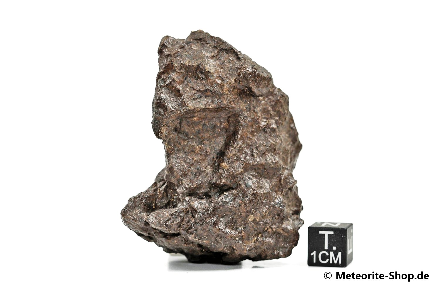 NWA Westsahara Meteorit - 84,70 g