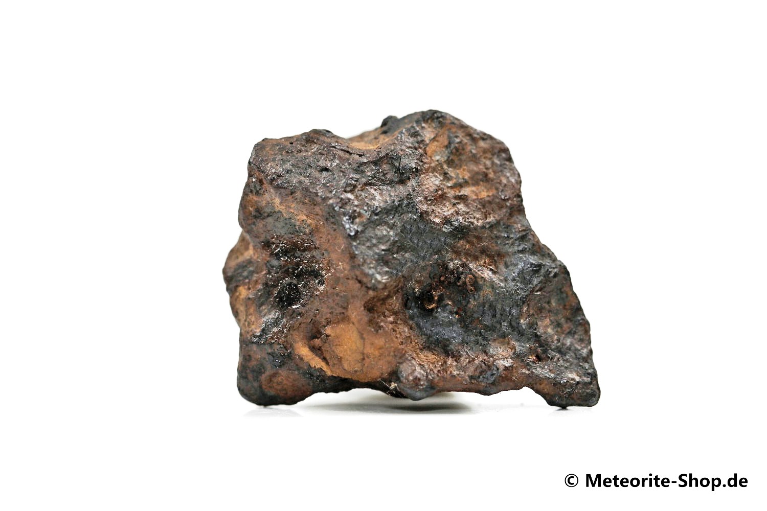 NWA 859 Meteorit - 8,10 g