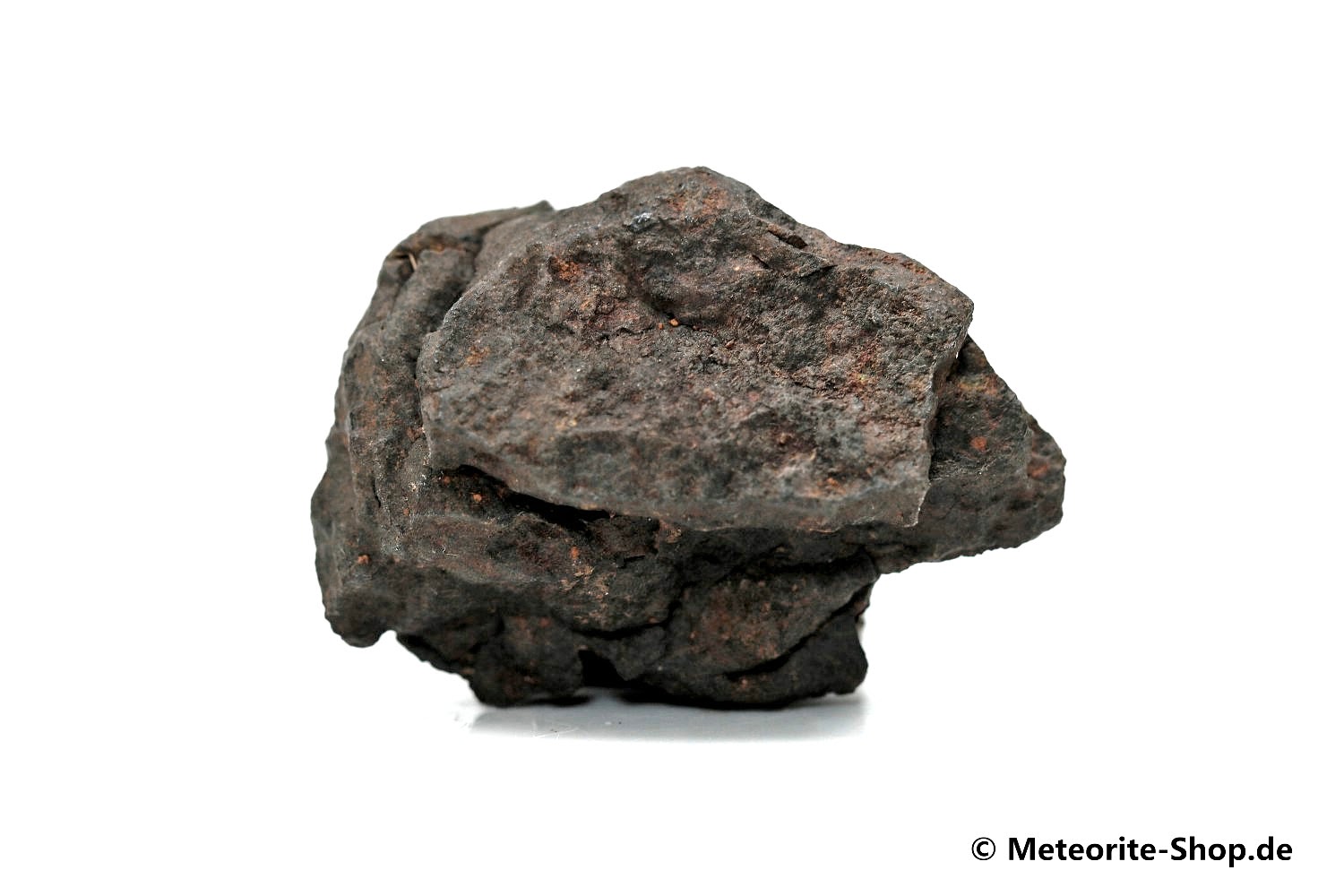 Vaca Muerta Meteorit - 19,80 g