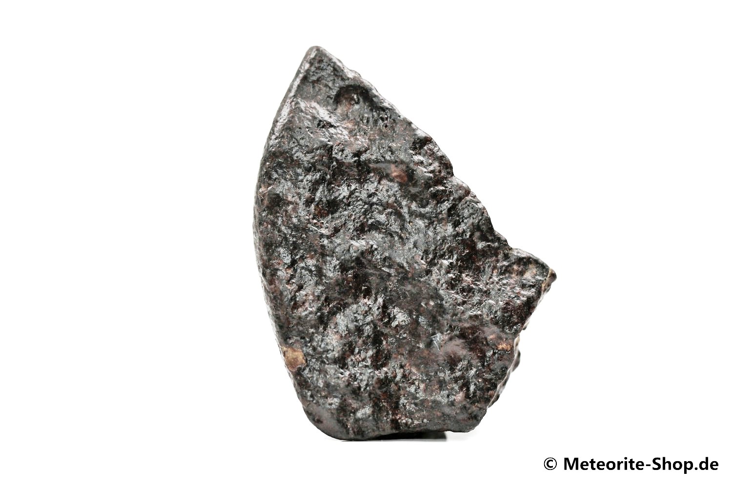 NWA Zagora Meteorit - 64,60 g