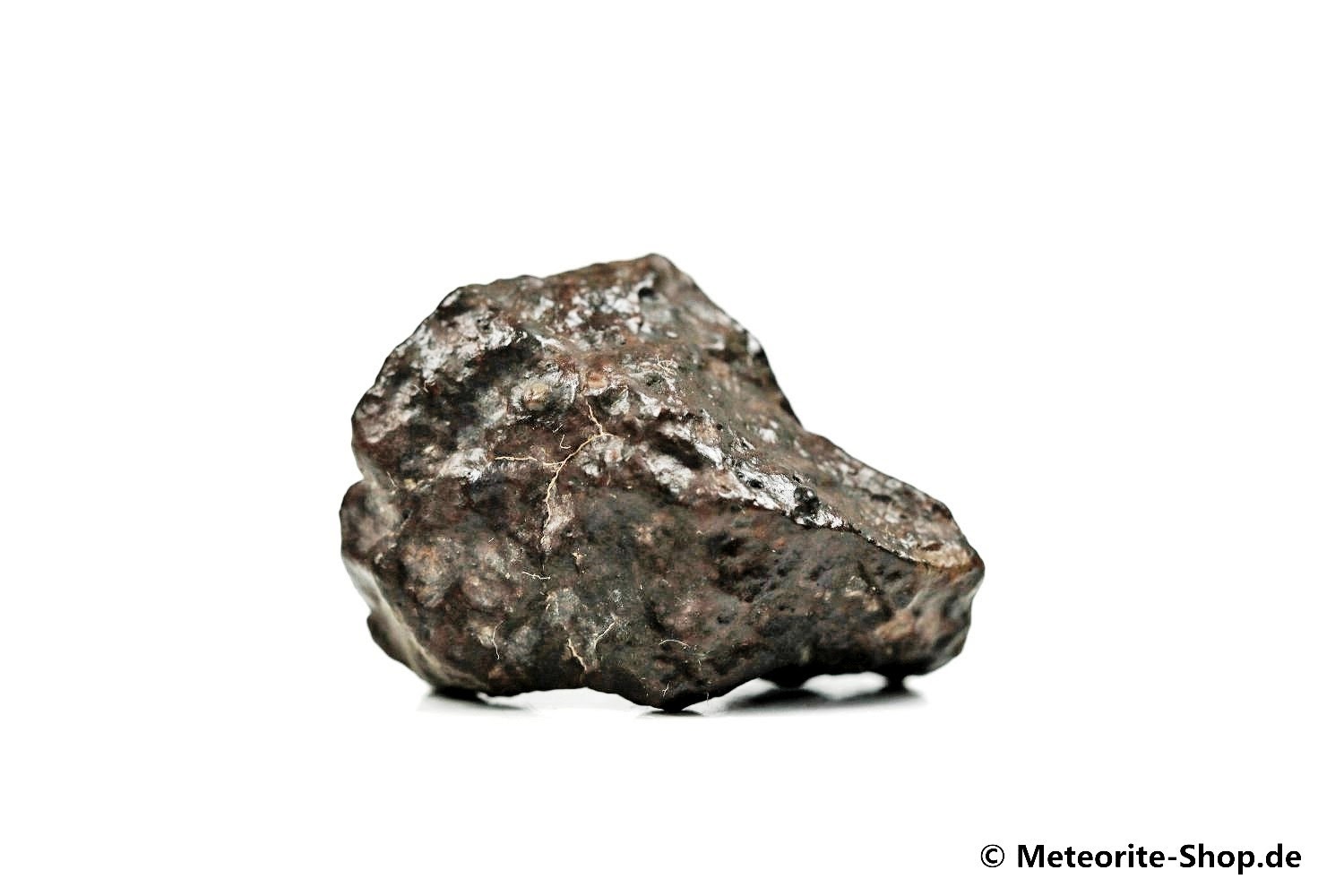 NWA Erfoud Meteorit - 15,20 g