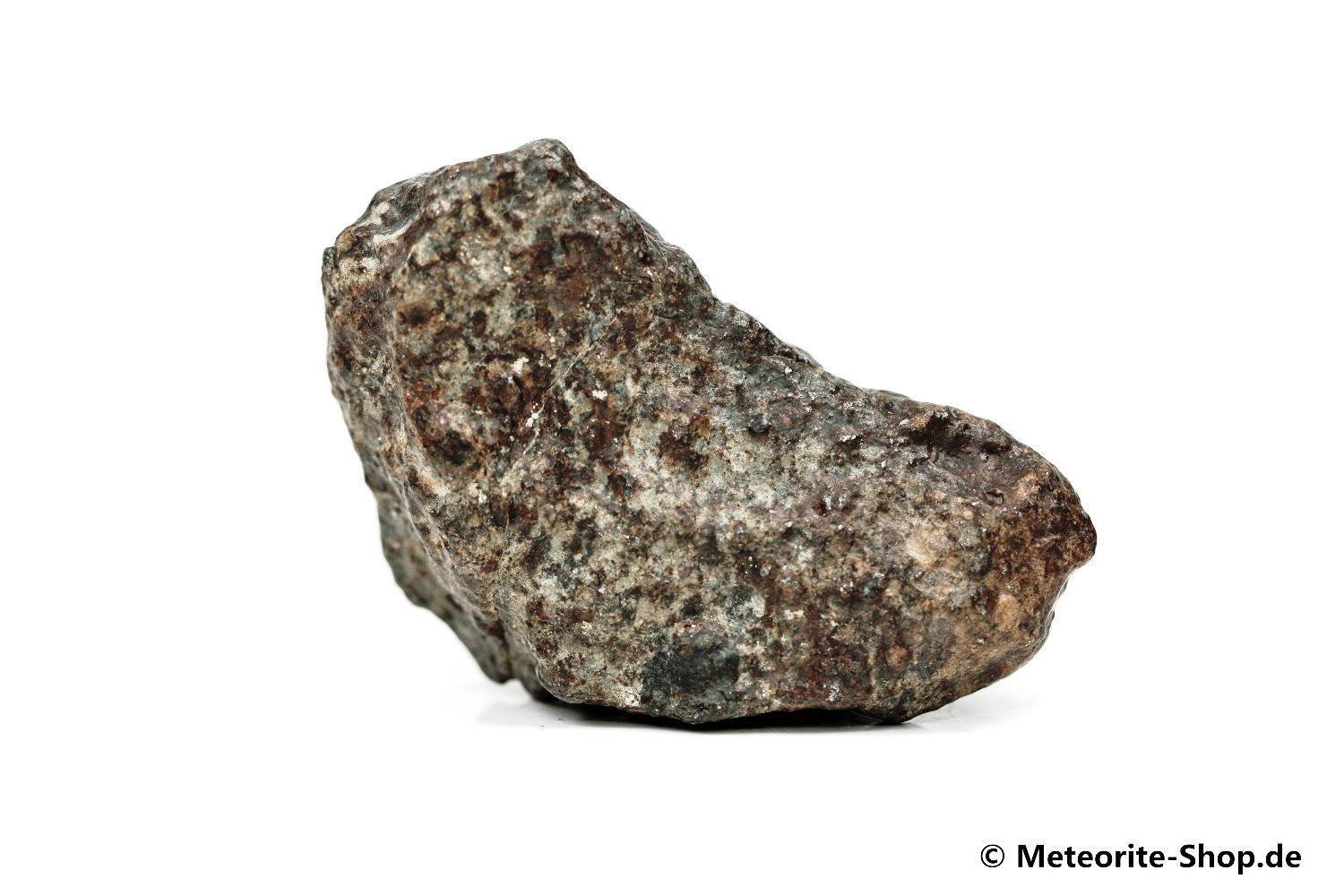 NWA 869 Meteorit - 53,30 g