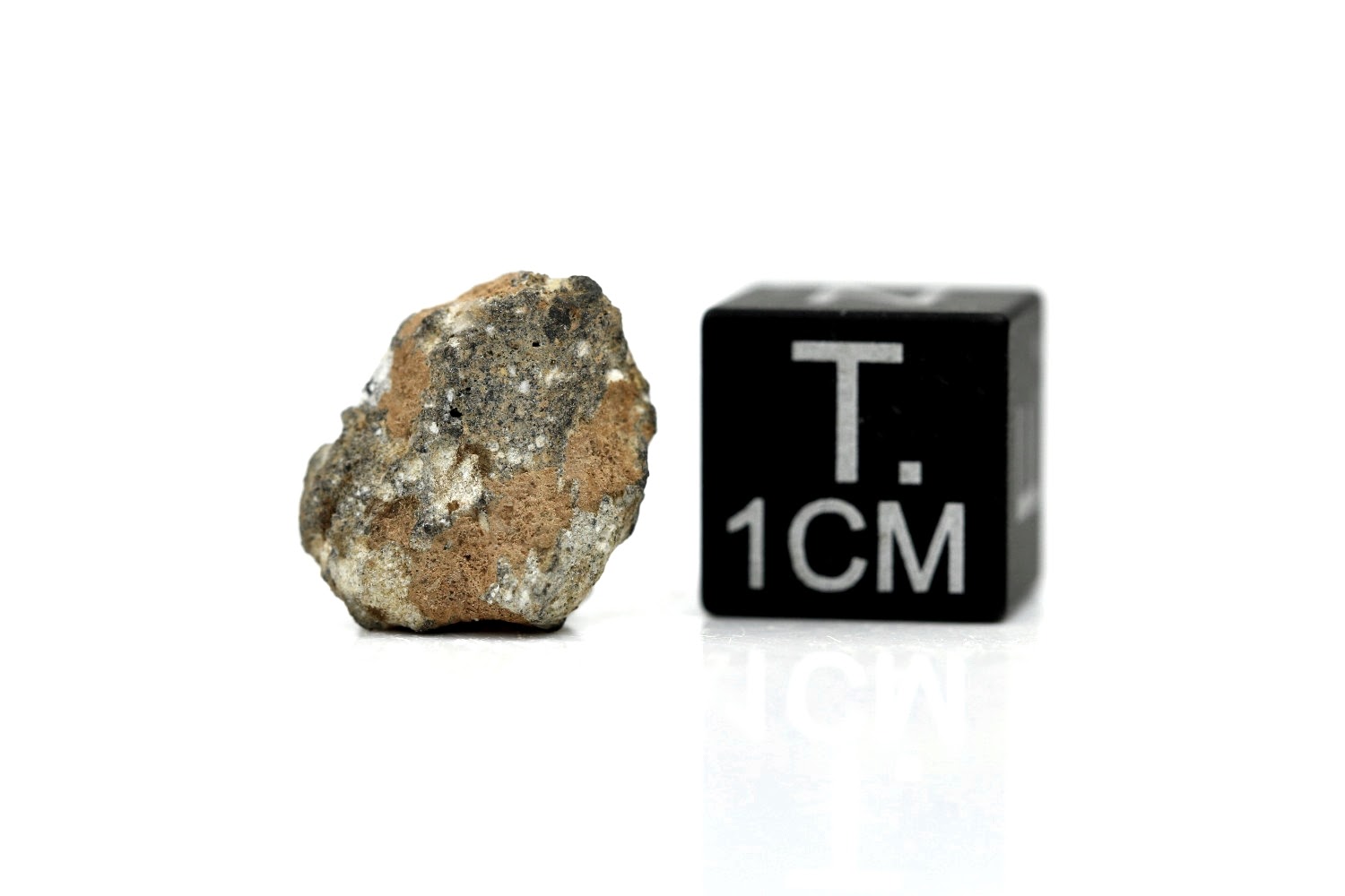 NWA 11407 Mond Meteorit - 0,838 g