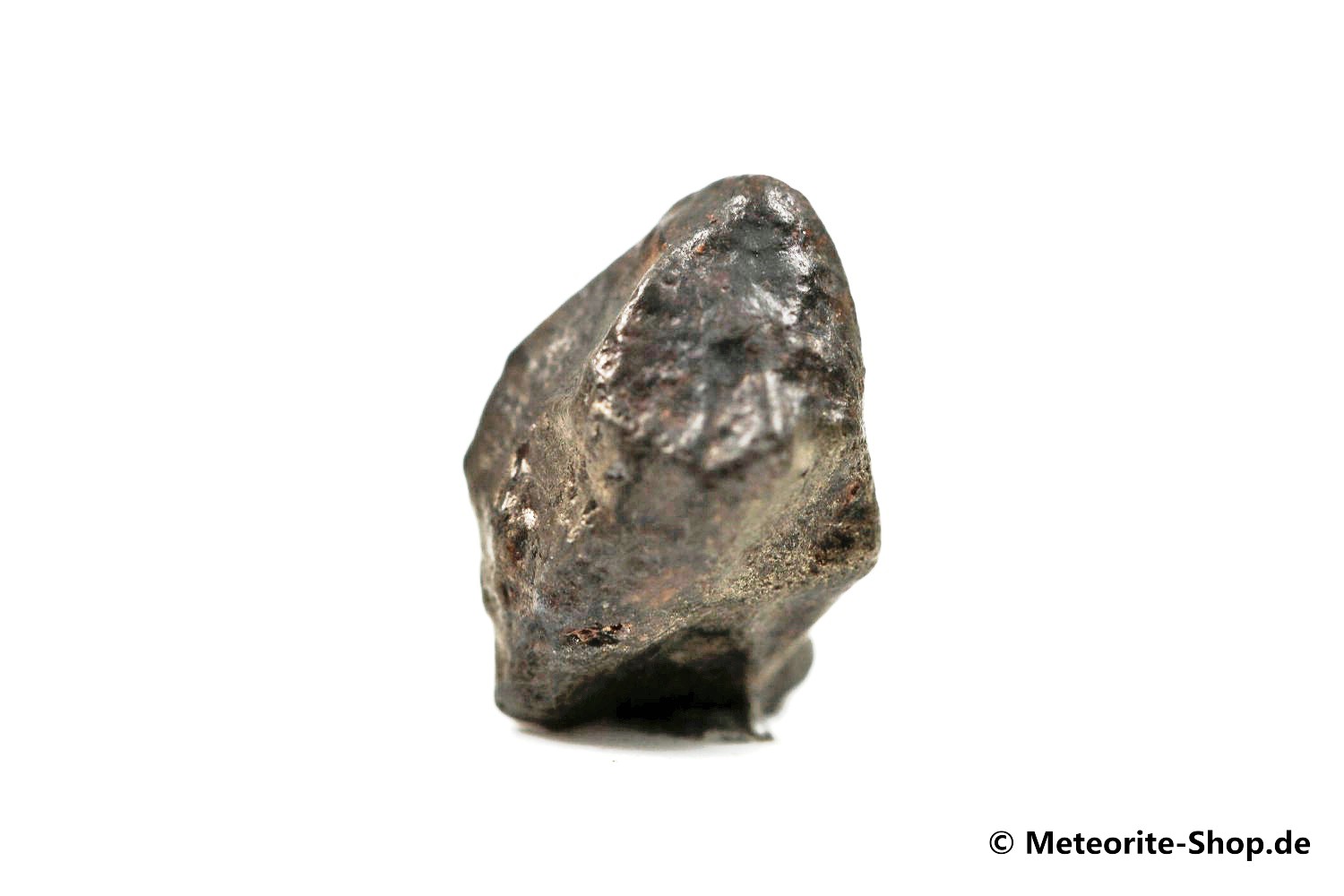 Golden Pallasite Meteorit (gepairt mit NWA 7788) - 1,85 g