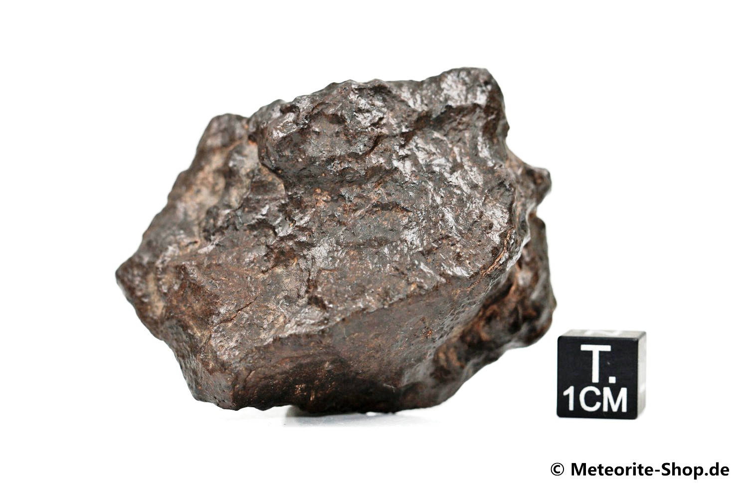Taoudenni 003 Meteorit - 82,30 g