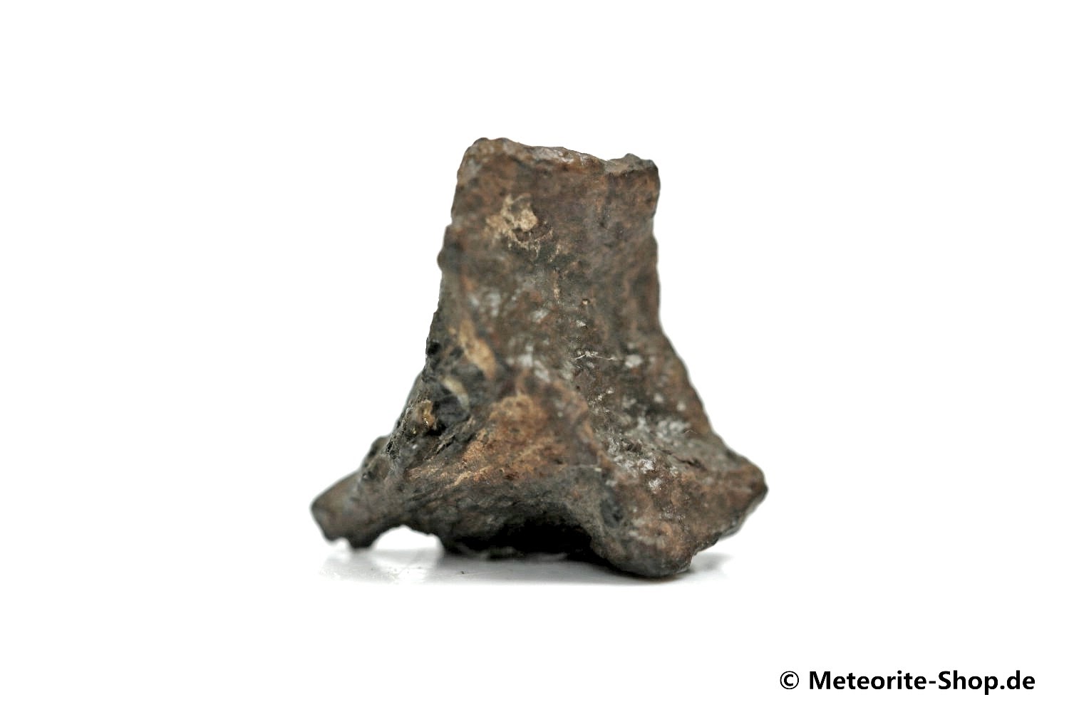 Golden Pallasite Meteorit (gepairt mit NWA 7788) - 1,70 g