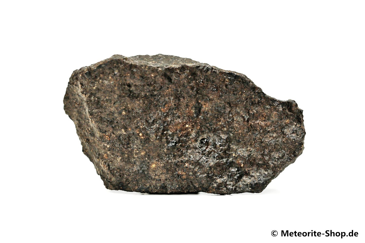NWA Agadir Meteorit - 22,60 g