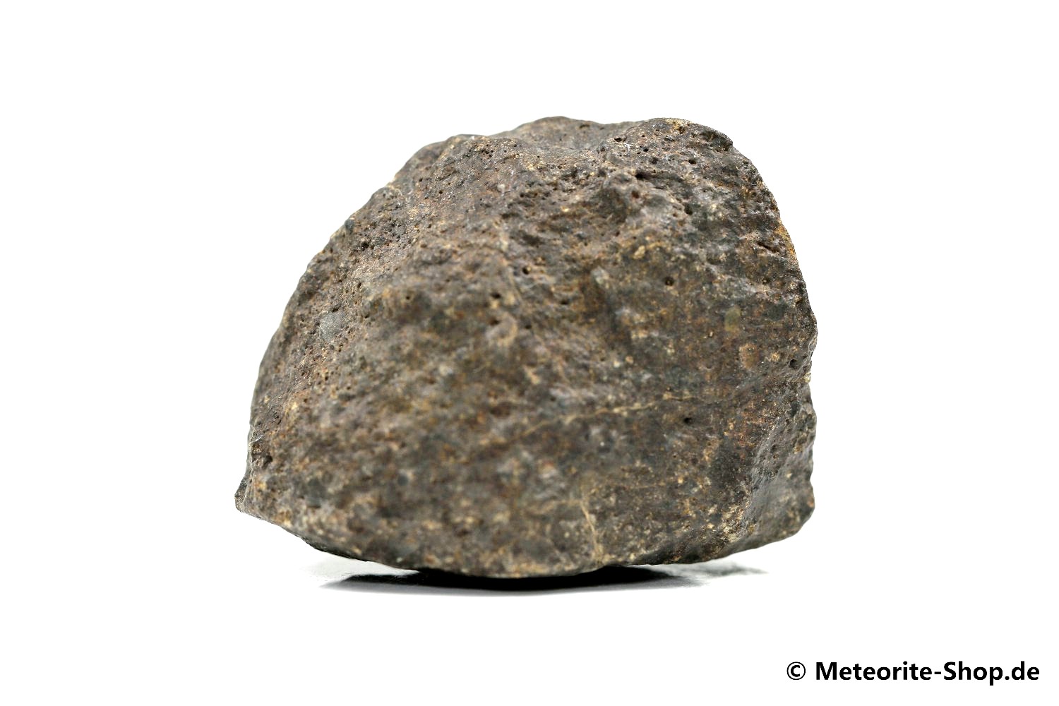 NWA 869 Meteorit - 62,80 g