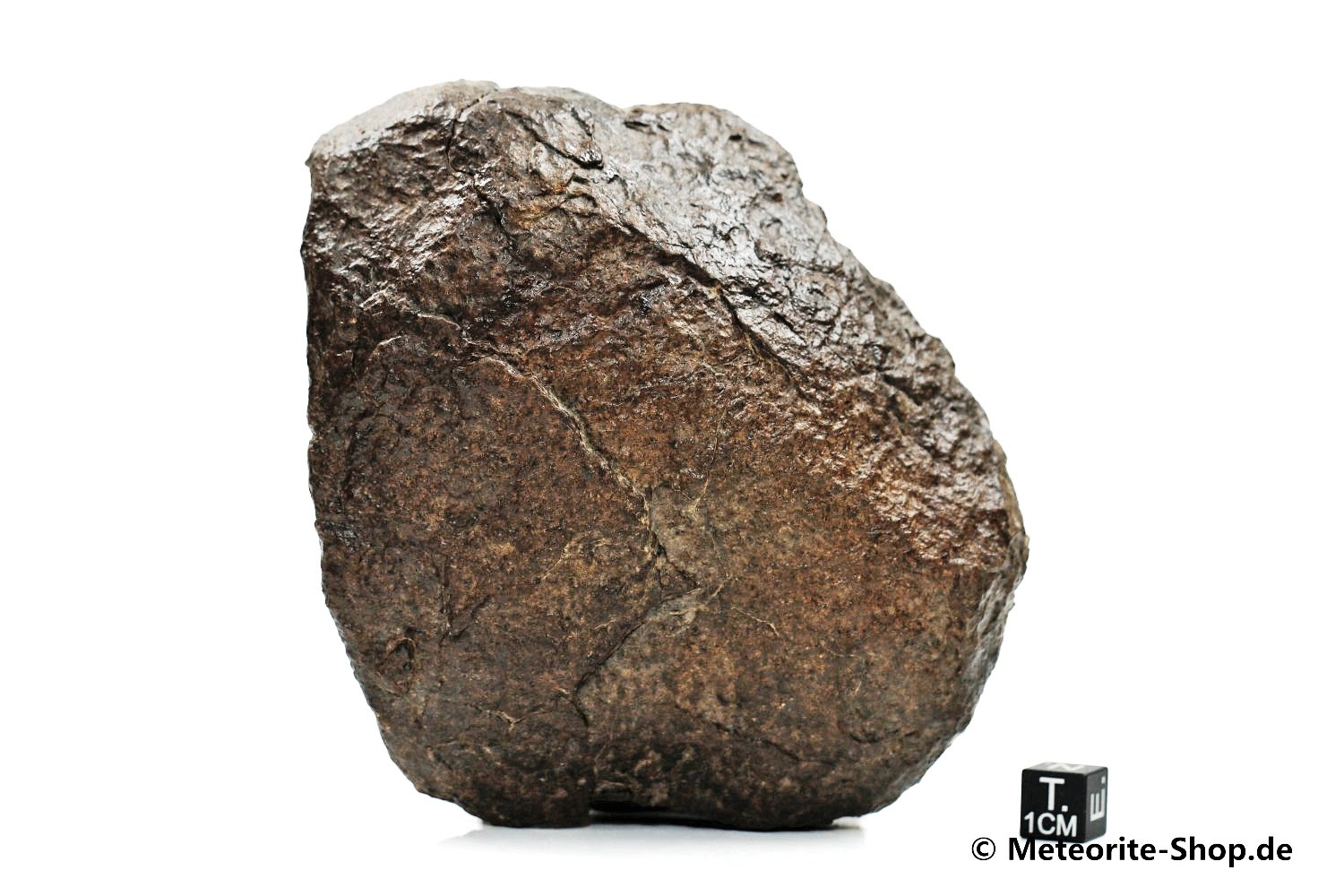 NWA Sahara Meteorit - 732,00 g