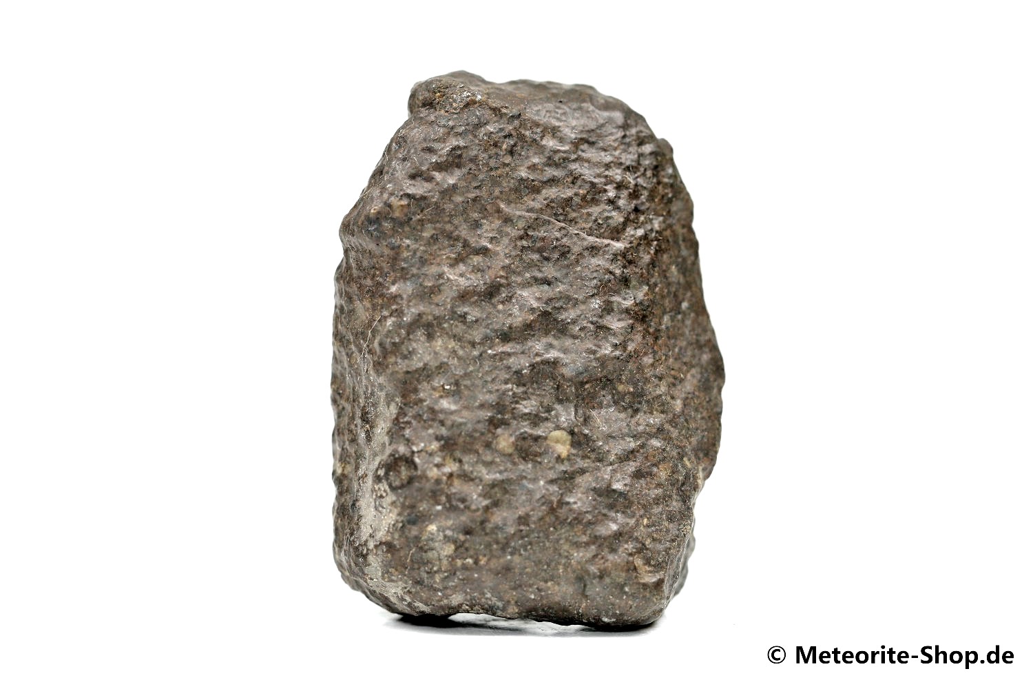 NWA 869 Meteorit - 67,70 g