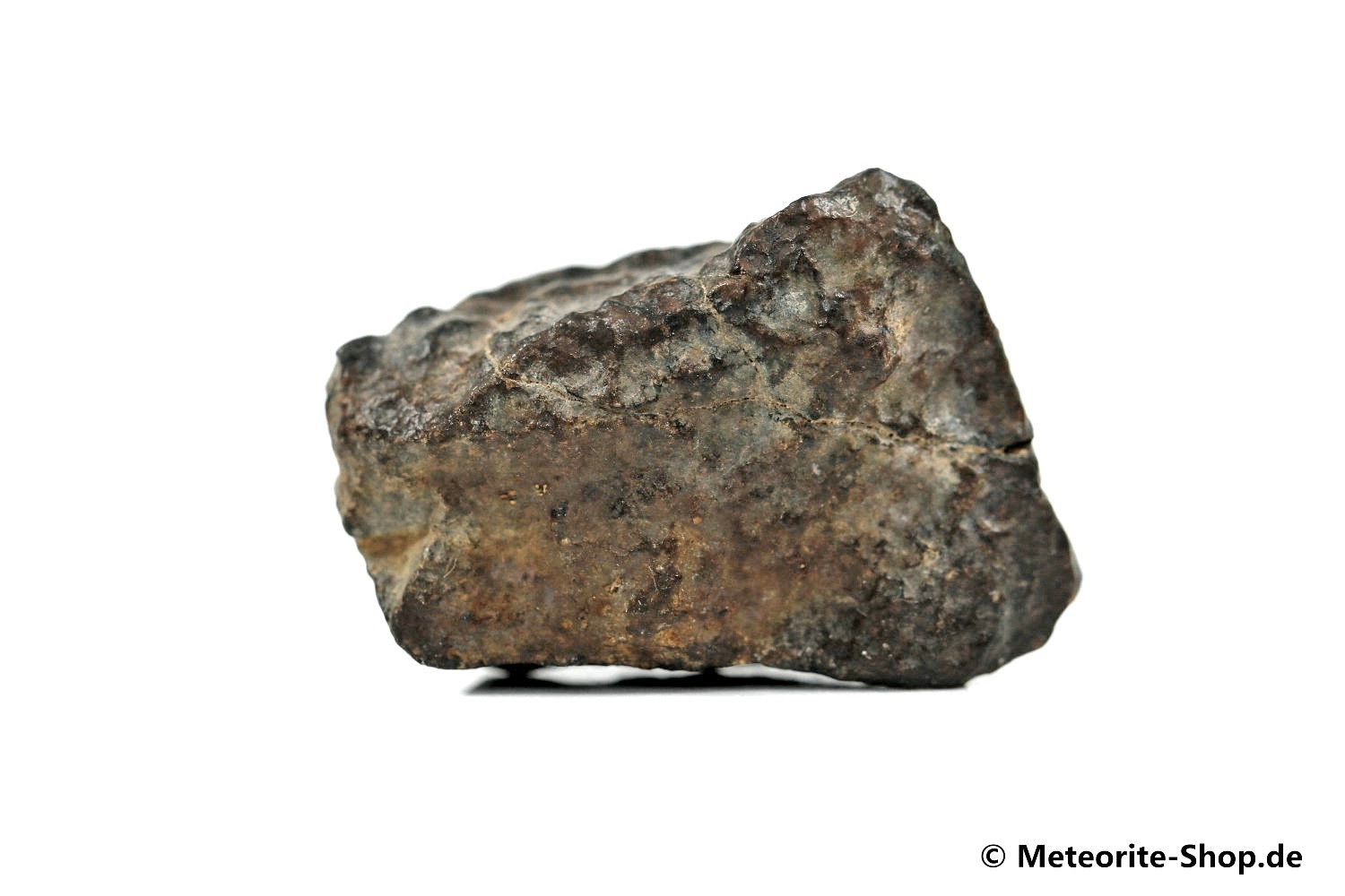 NWA Tagounite Meteorit - 12,10 g