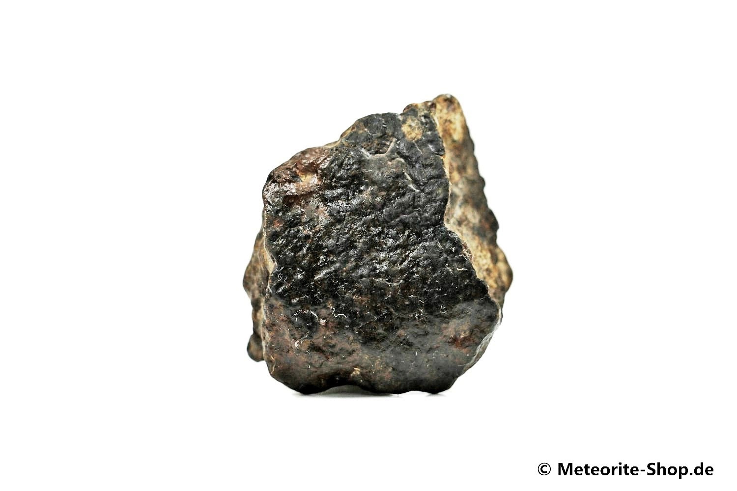 NWA Erfoud Meteorit - 14,70 g