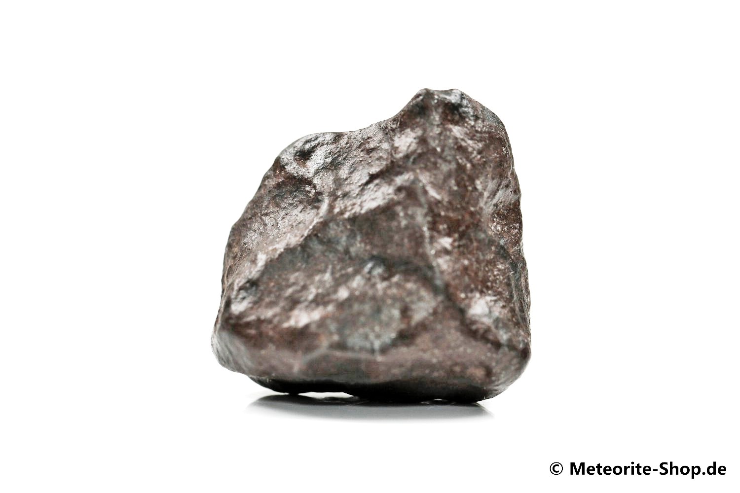NWA Erfoud Meteorit - 33,60 g