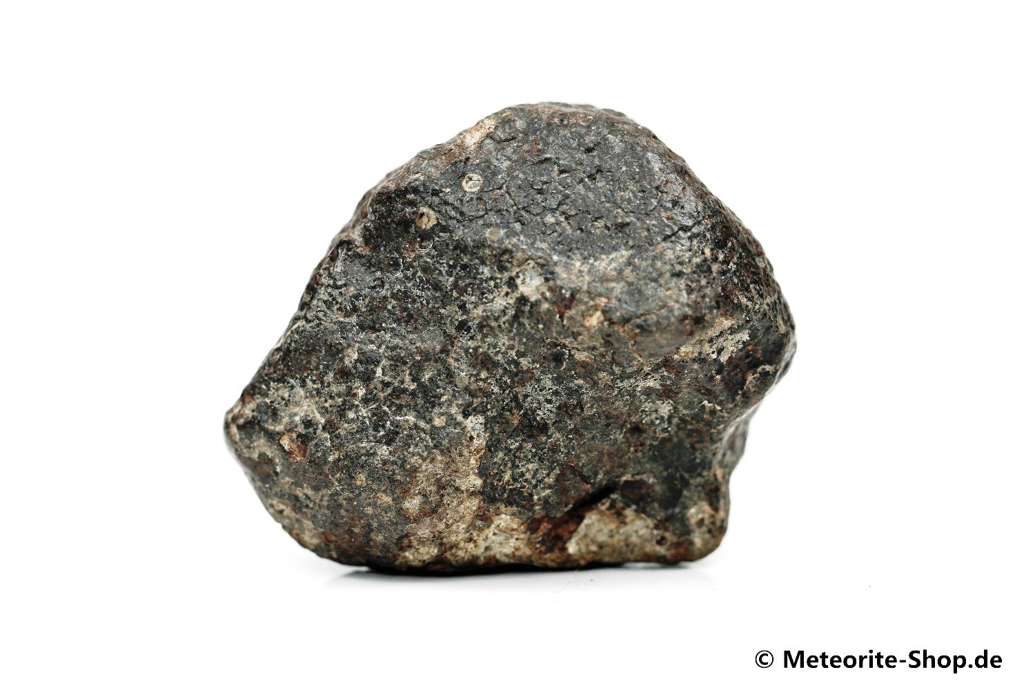 NWA 869 Meteorit - 60,70 g