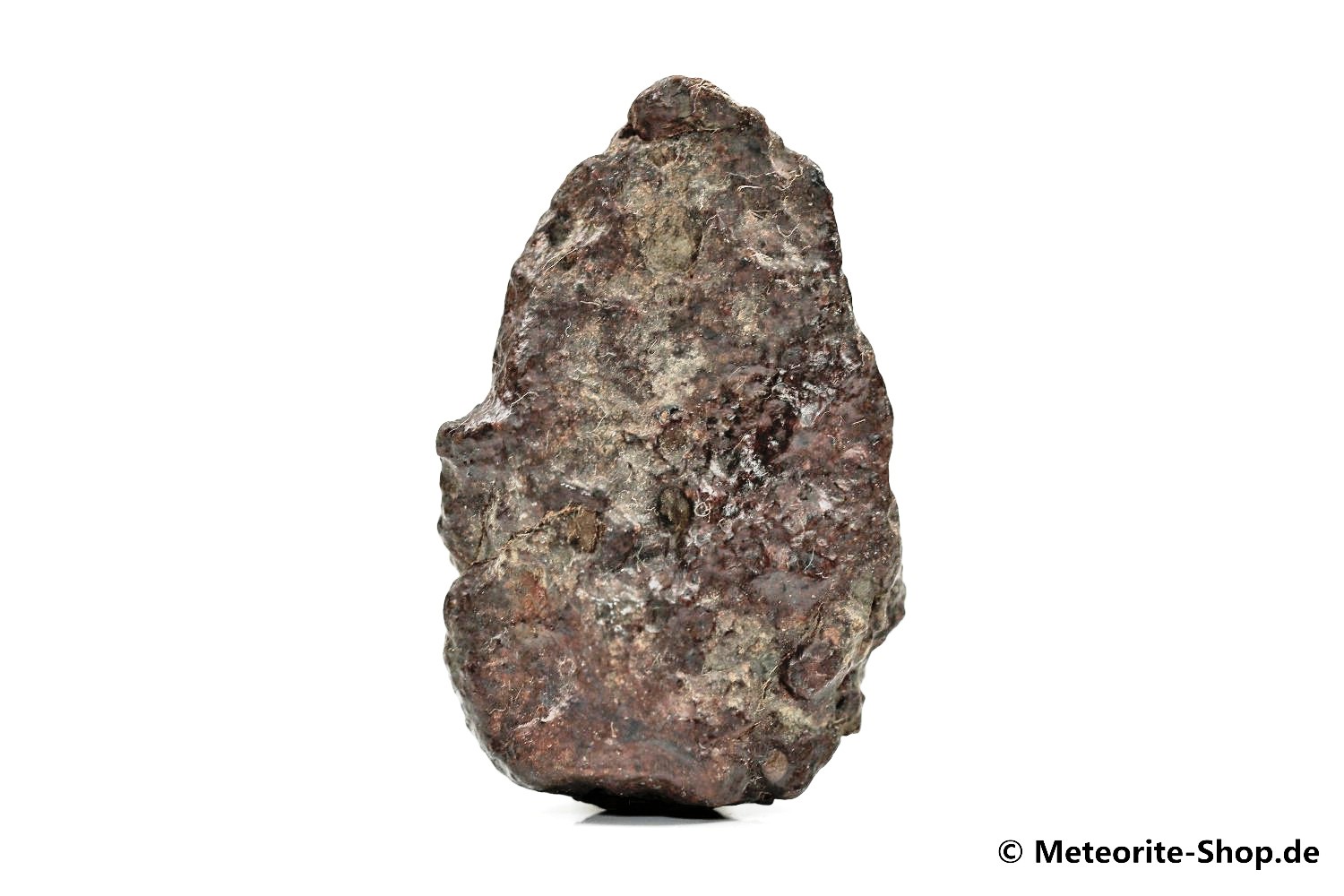 NWA Agadir Meteorit - 42,70 g