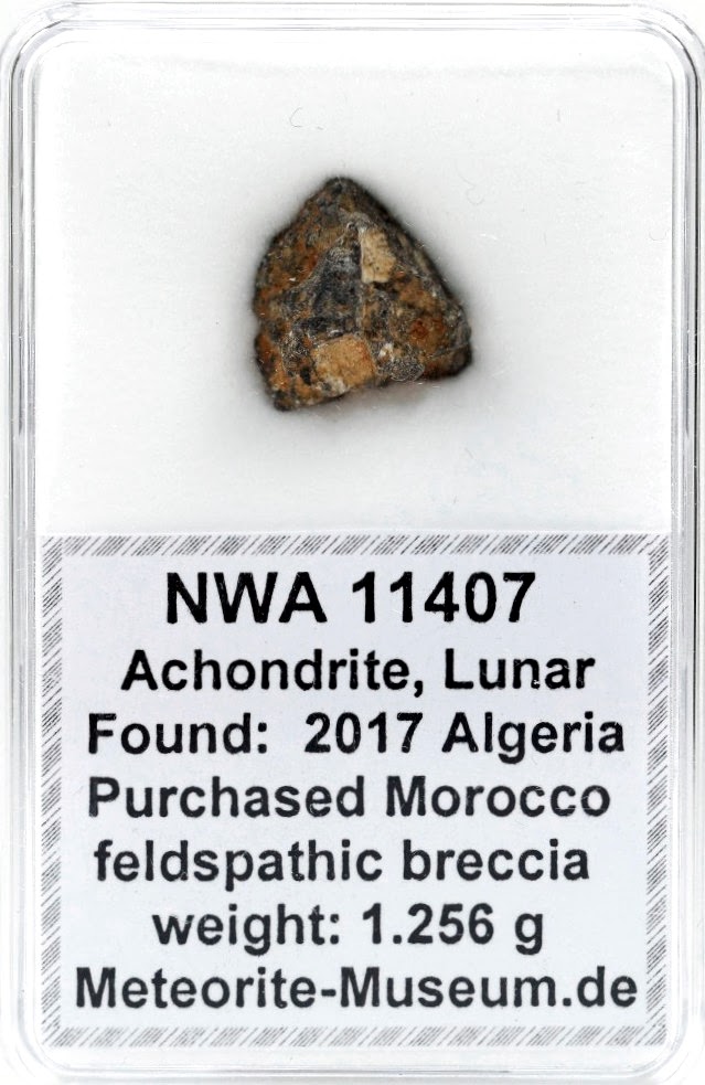 NWA 11407 Mond Meteorit - 1,256 g