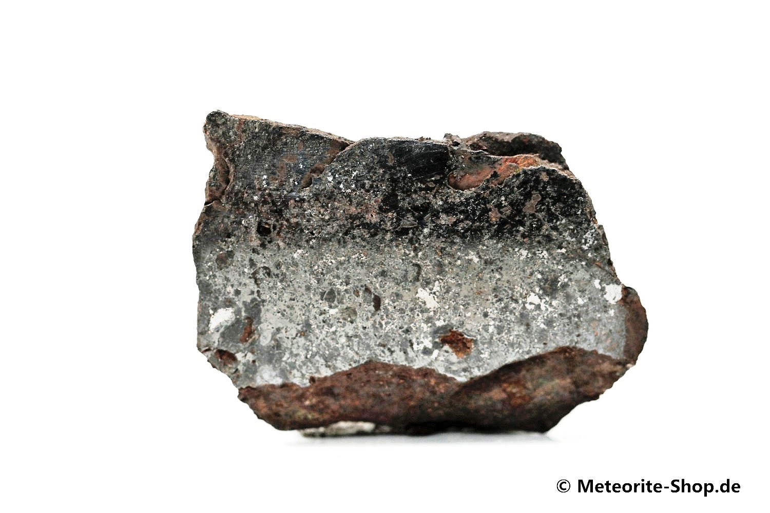 Vaca Muerta Meteorit - 9,70 g