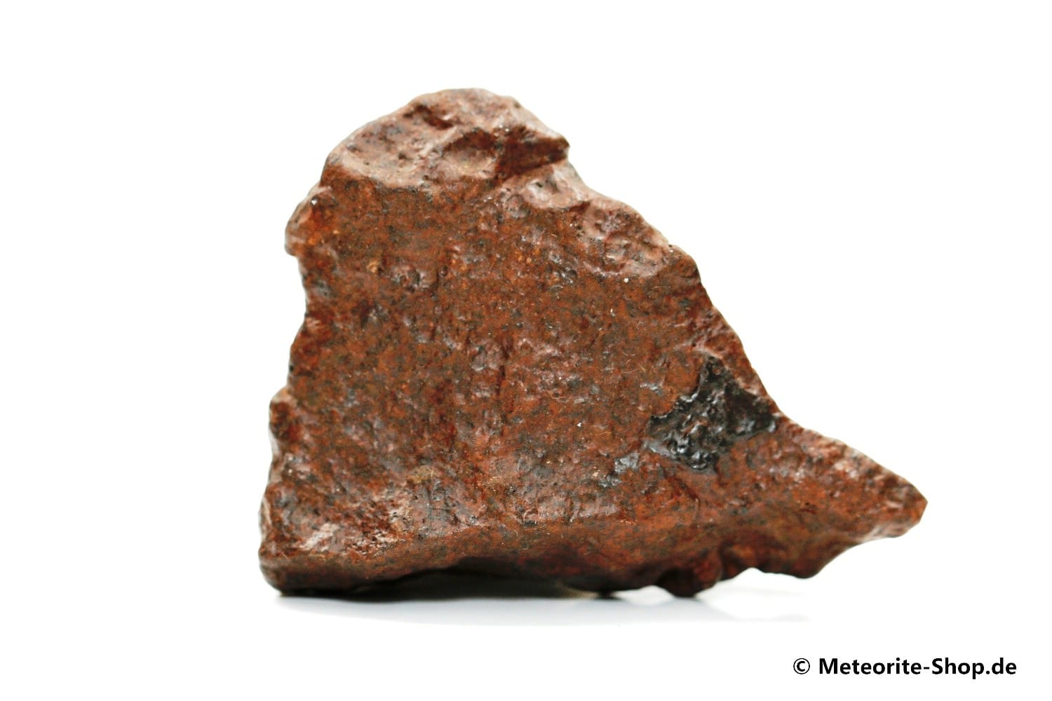 NWA Westsahara Meteorit - 60,00 g
