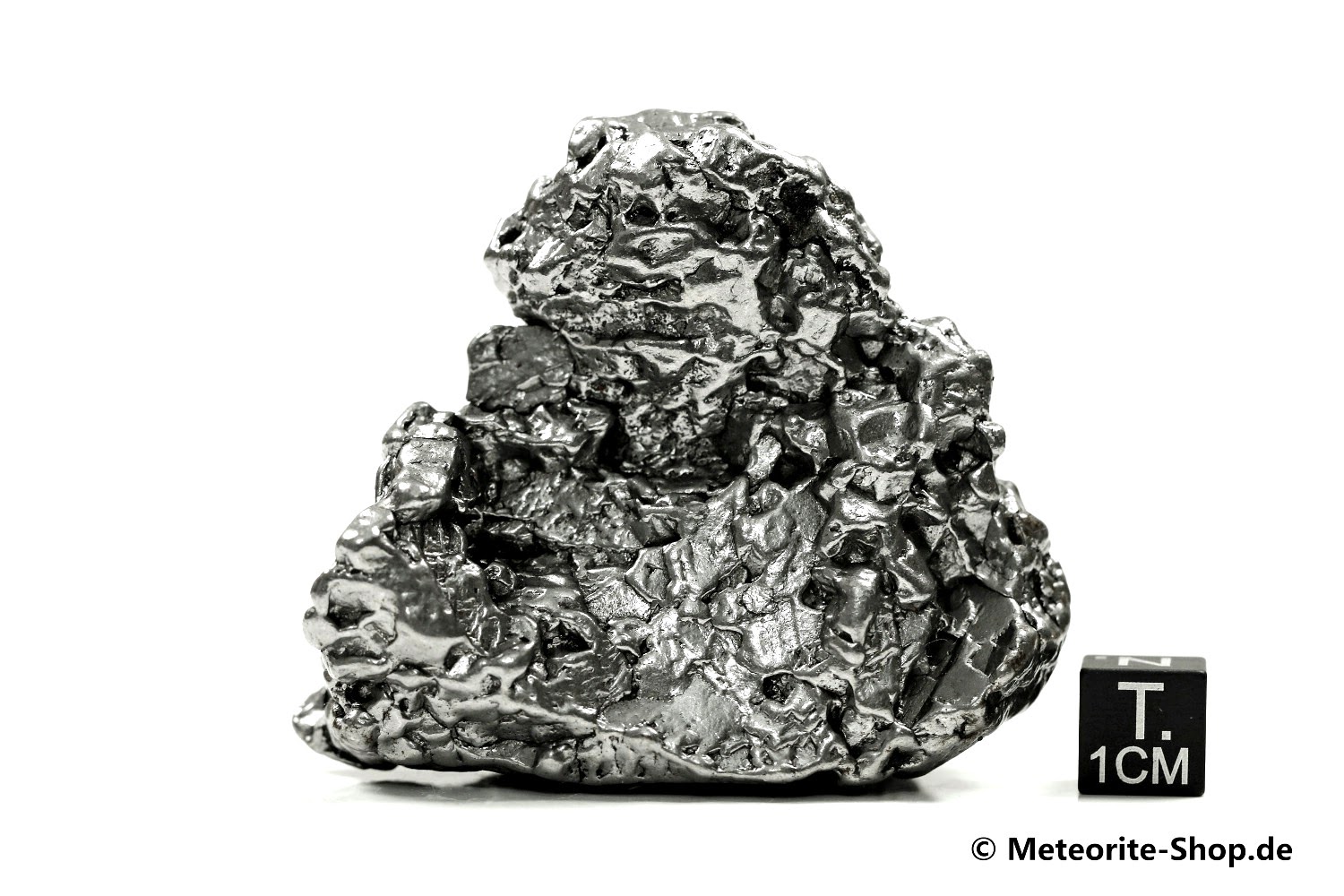 Campo del Cielo Meteorit - 279,60 g