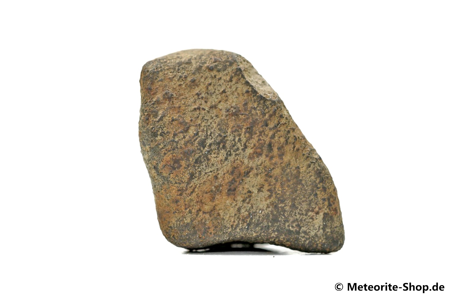 Gao-Guenie Meteorit - 16,60 g