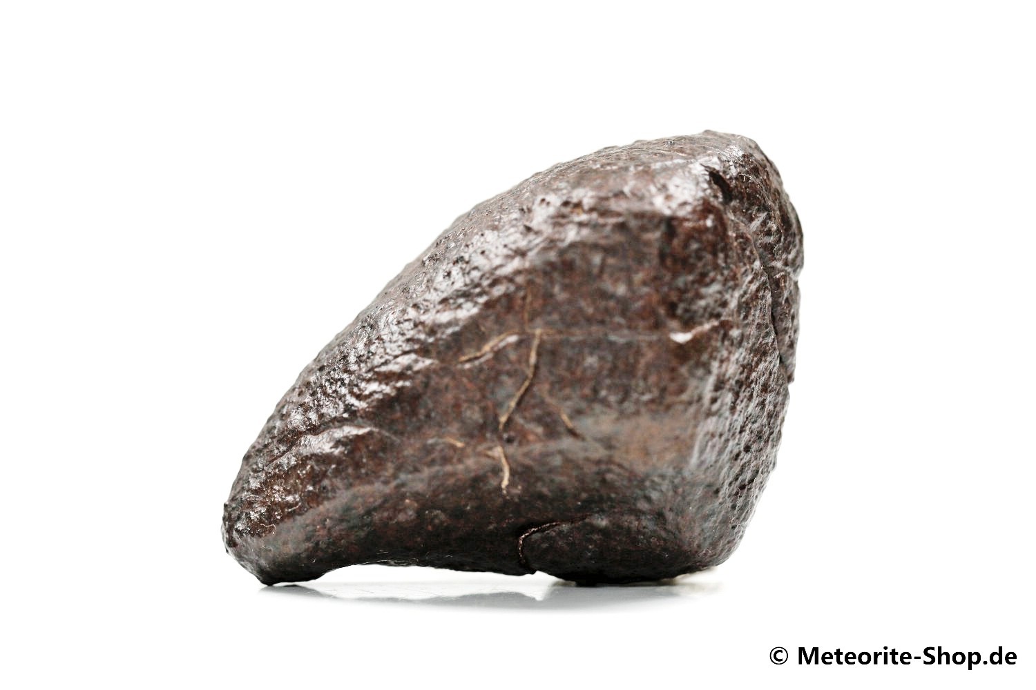NWA Zagora Meteorit - 58,00 g