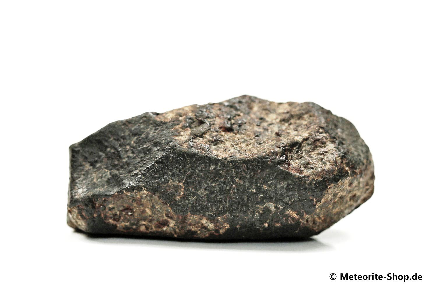 NWA 869 Meteorit - 46,60 g