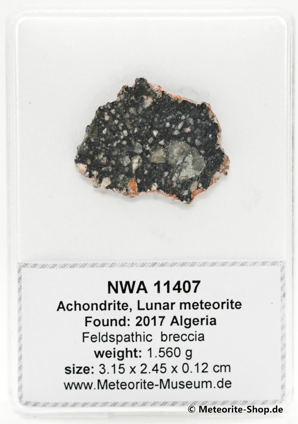 NWA 11407 Mond Meteorit - 1,560 g