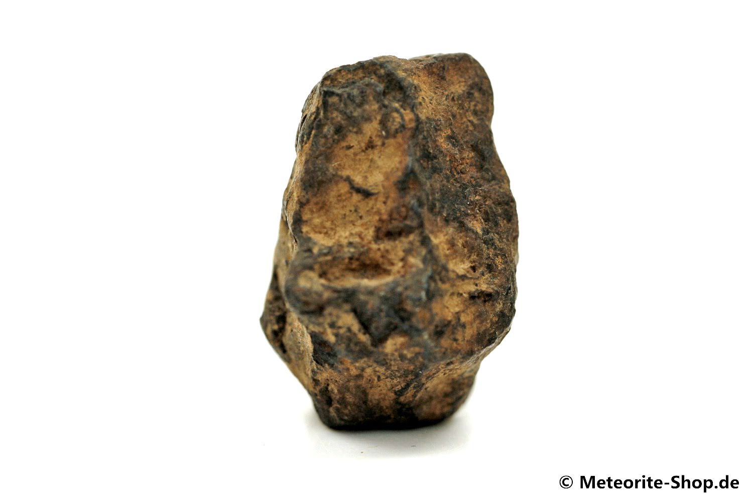 NWA 859 Meteorit - 13,40 g