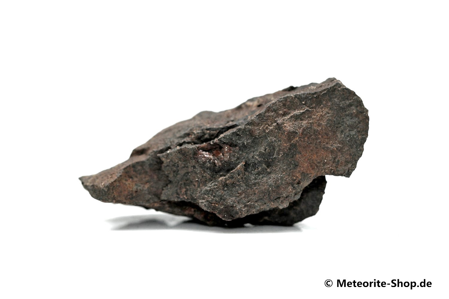 Vaca Muerta Meteorit - 11,60 g