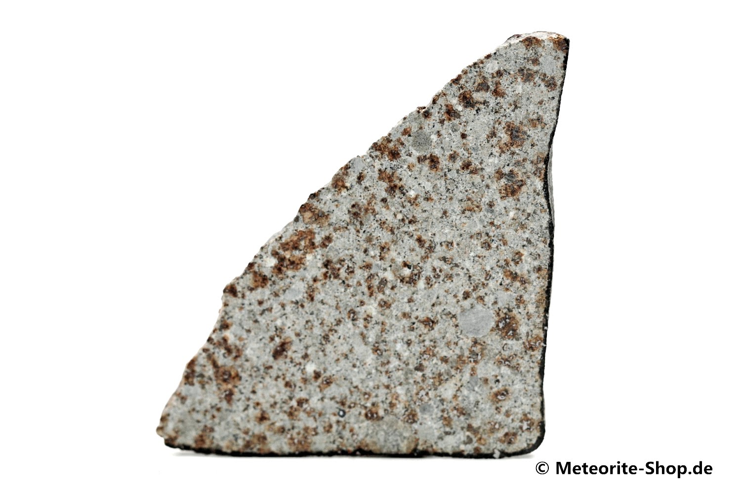 HaH 346 GHADAMIS Meteorit - 12,10 g
