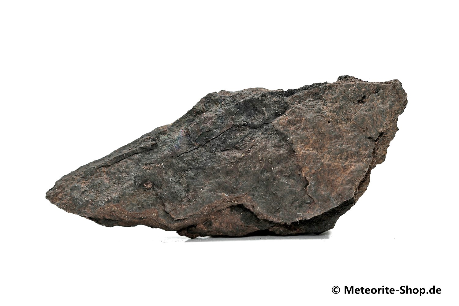 Vaca Muerta Meteorit - 18,80 g