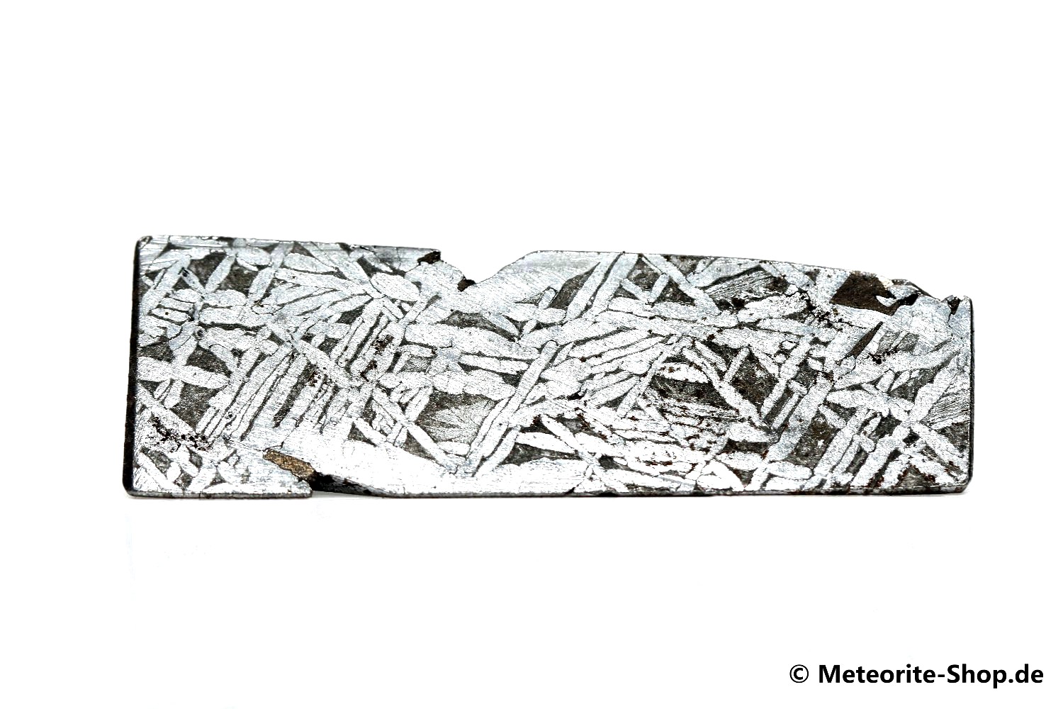 Aletai Meteorit - 34,60 g