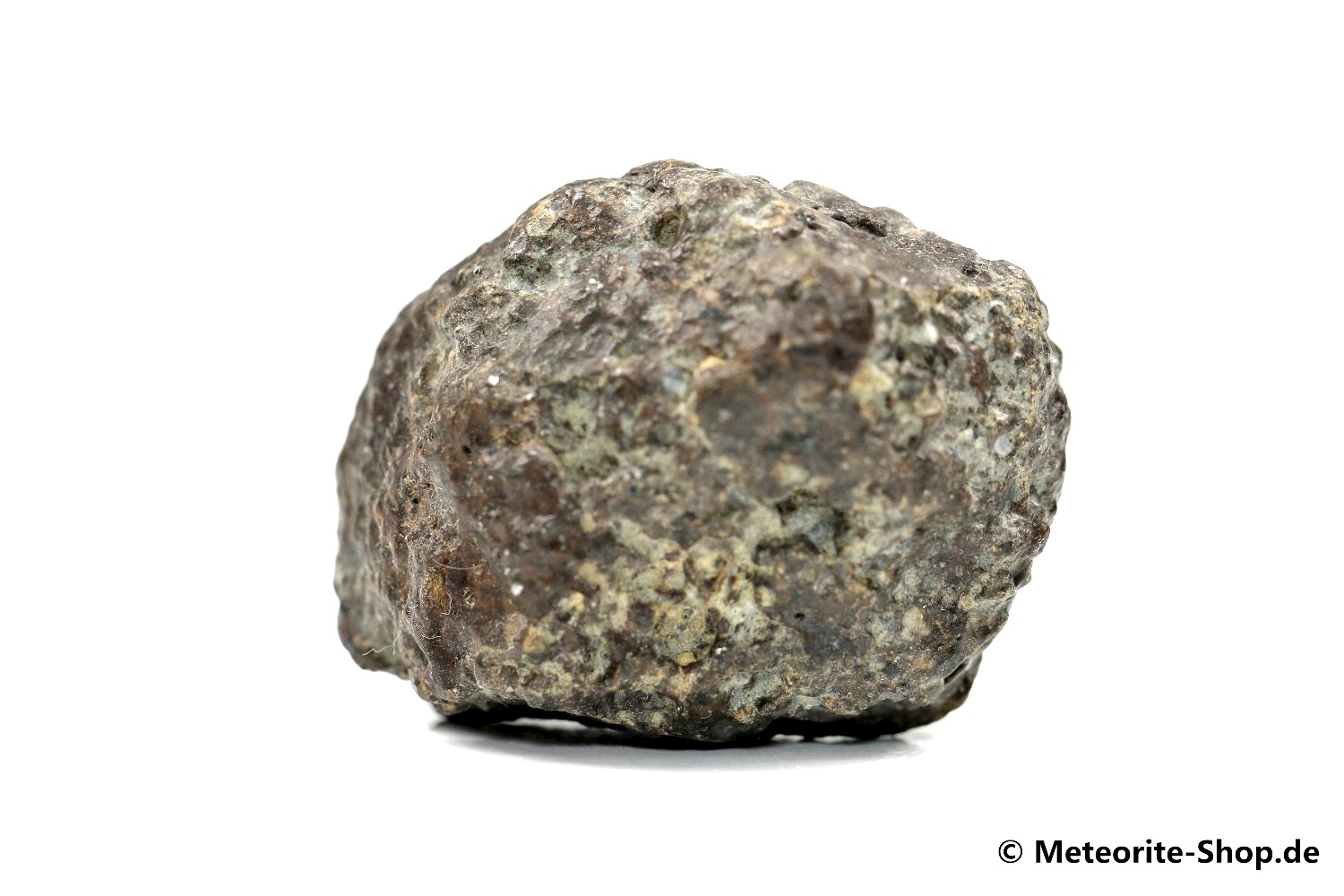NWA 869 Meteorit - 63,50 g