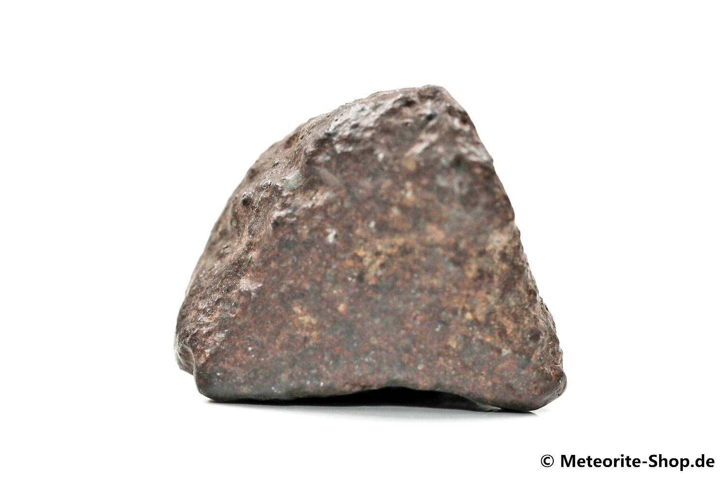 NWA Casablanca Meteorit - 43,70 g