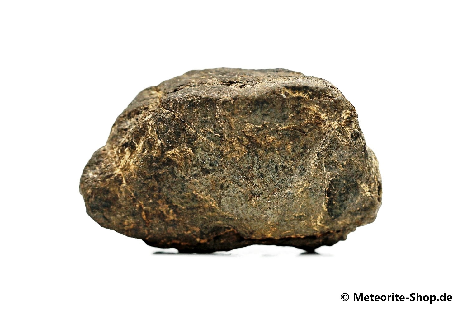 Alnif Meteorit - 55,90 g