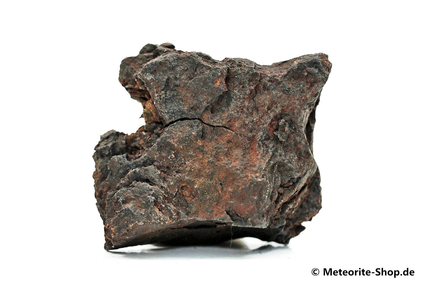 Vaca Muerta Meteorit - 42,50 g