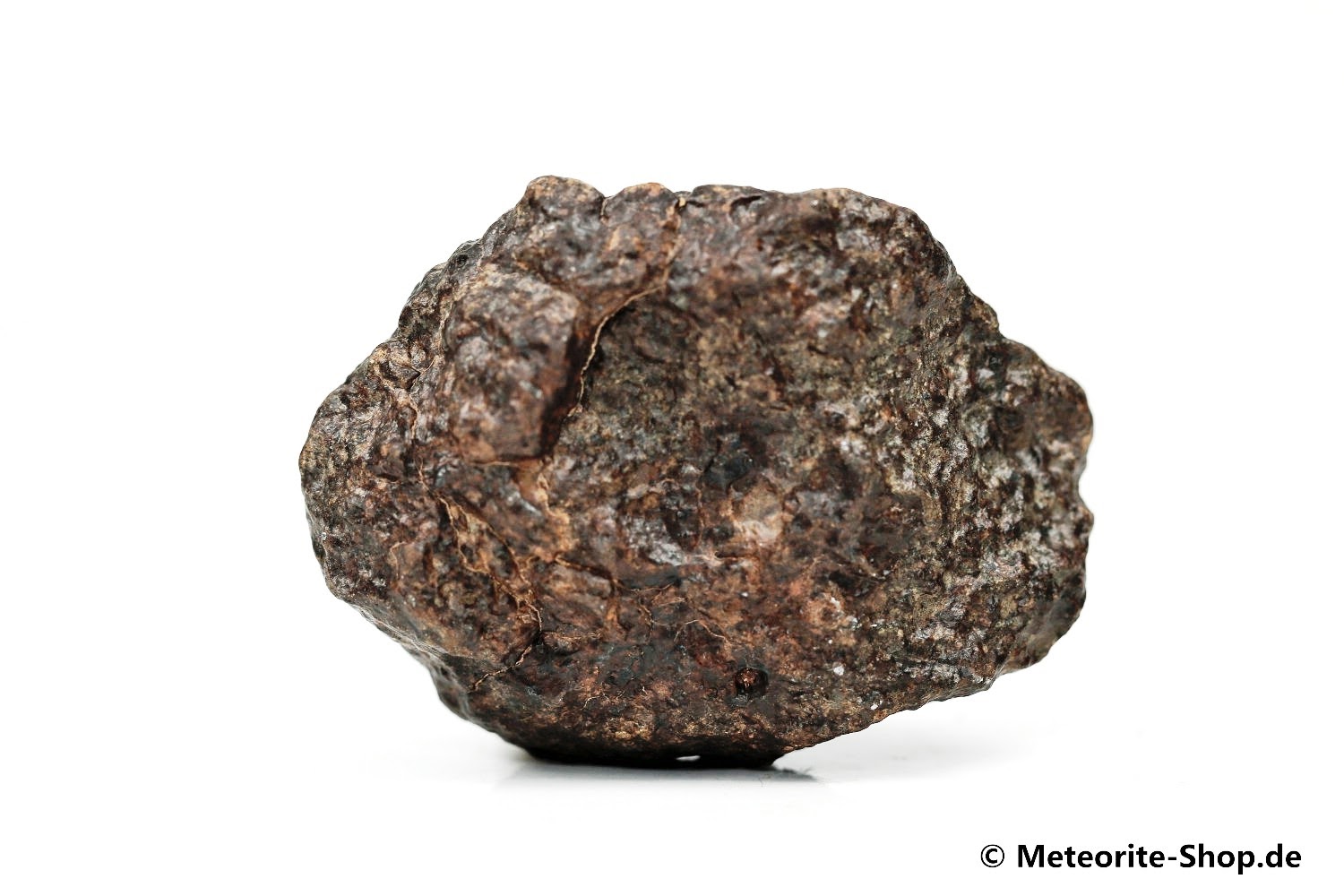 NWA 869 Meteorit - 72,80 g