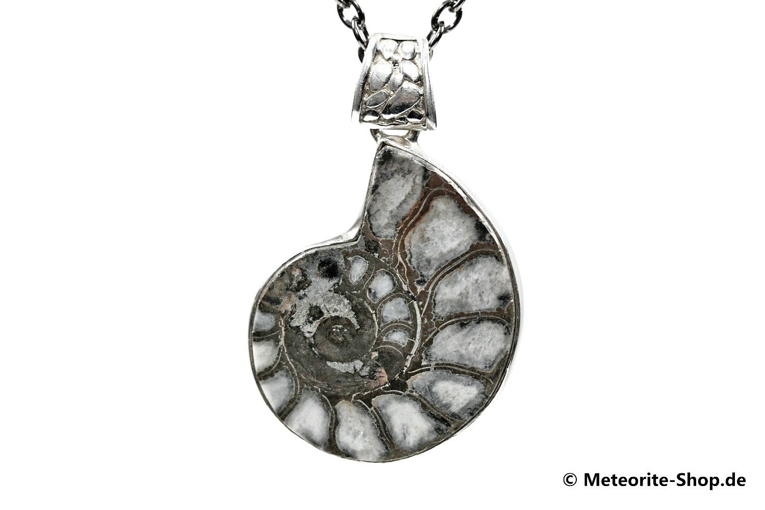 Ammonit-Anhänger (Fossil | Scheibe | 925er Silber) - 9,10 g