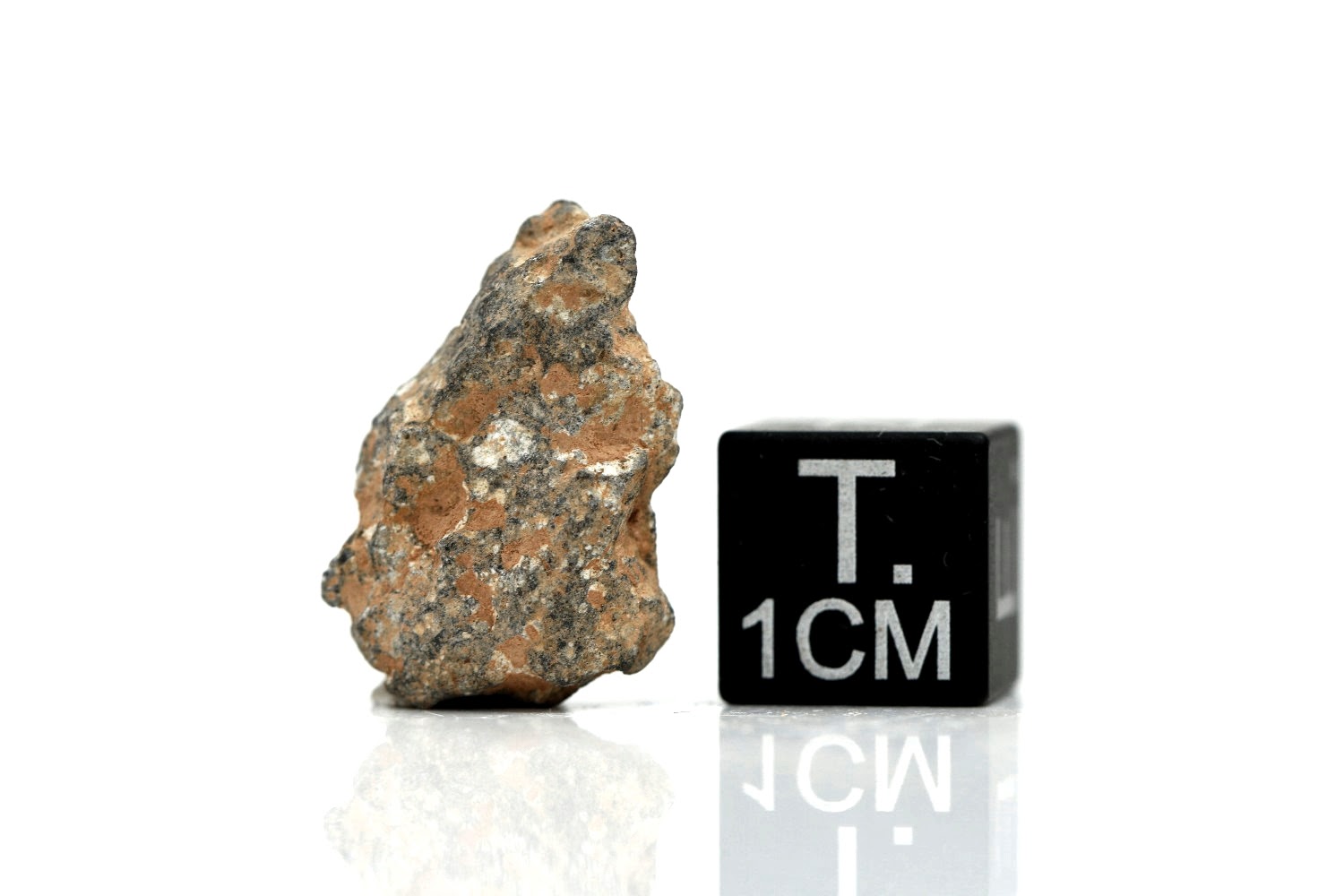 NWA 11407 Mond Meteorit - 1,688 g