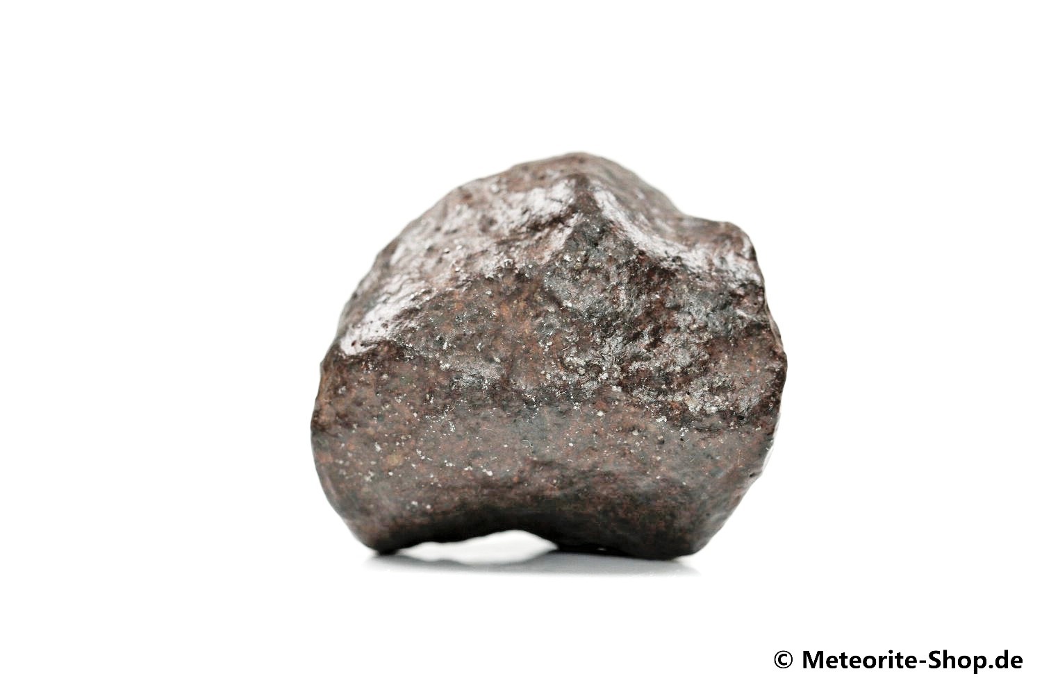 NWA Erfoud Meteorit - 46,50 g